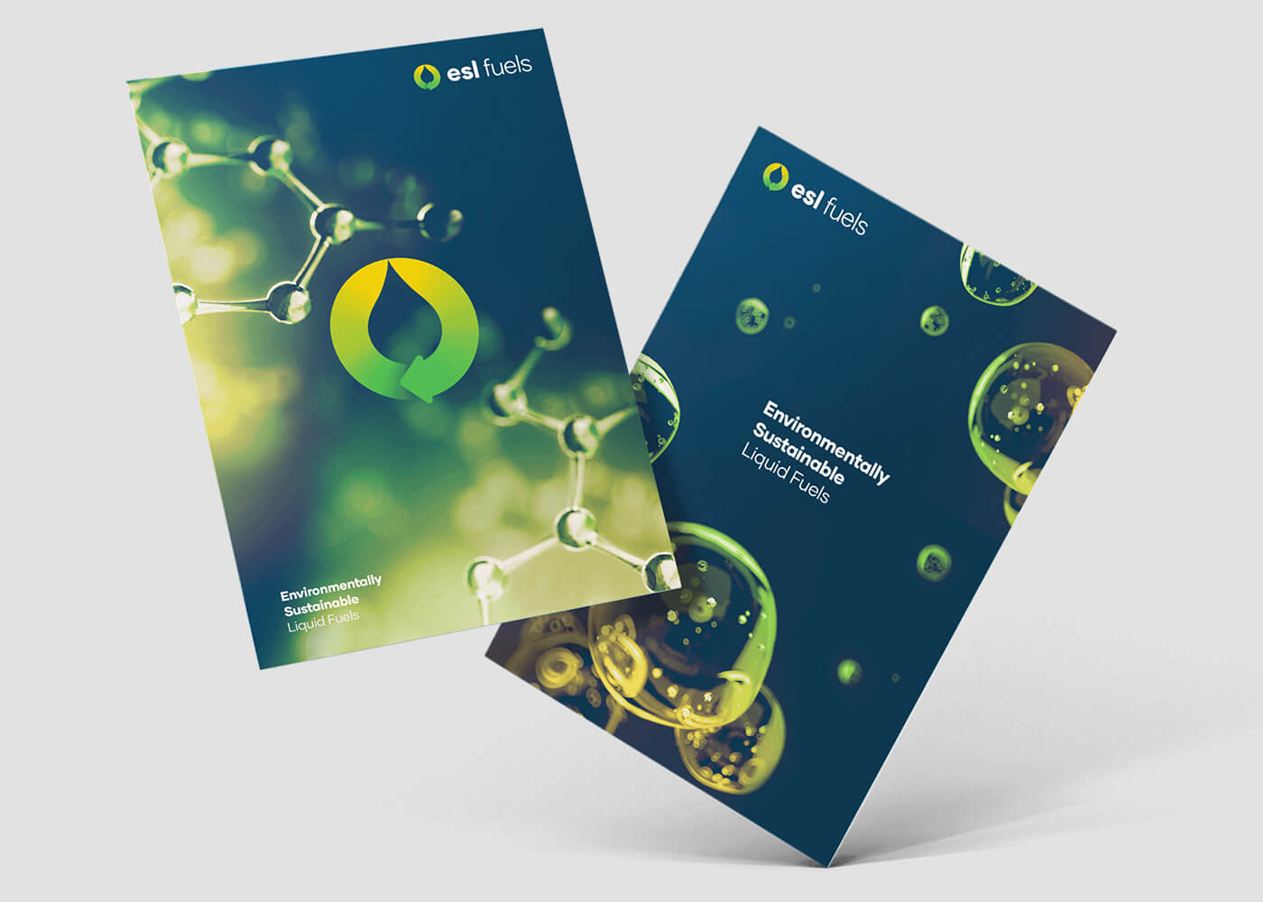 ESL Brochures